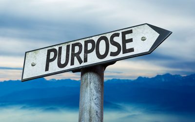Purpose, Meaning and Congruency
